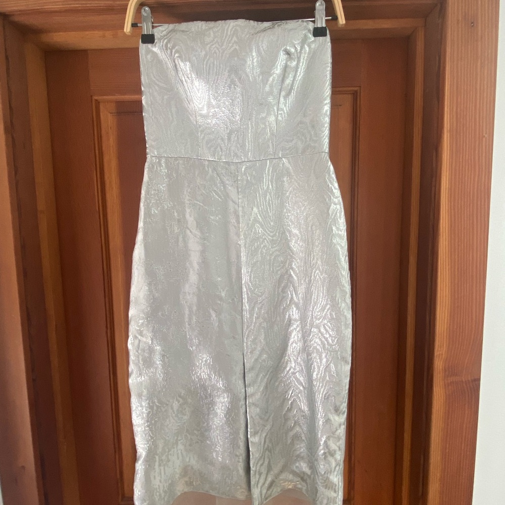 Philosophy di Alberta Ferretti Shimmering Silver Strapless Dress